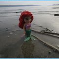 the Little Mermaid
