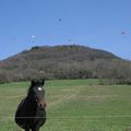 journée au vert et dans les air pour calou dans le jura...