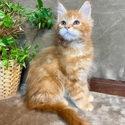 nous sommes de retour !