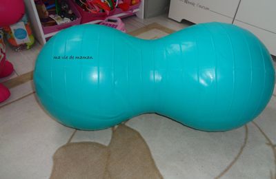 Le ballon de motricité de Ludi