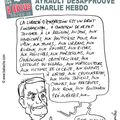 Ayrault désapprouve Charlie Hebdo