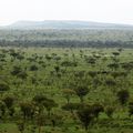 Tanzanie - orage sur Grumeti Hills.