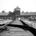 Auschwitz… profanée