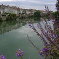 Rives de Charente (1/2)