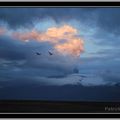 Le volcan d'Islande en photos par Patrick Hache