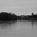 La Loire - St Jean de Braye vue de Combleux