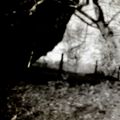 pinhole study - stenope etude