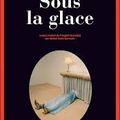 Sous la glace - Louise Penny