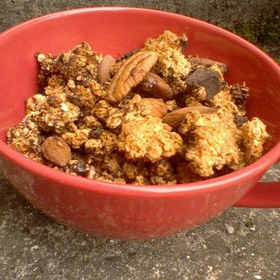 Muesli au chuck de chocolat noir 