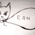 le chat dit RAN