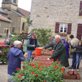 Mai: repiquage des fleurs