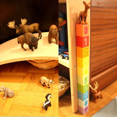 Tout sur les tailles