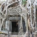 Cambodge, Siem Reap & Angkor - C'est parti pour les temples...
