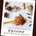 Mélange pour pain d'épices (thermomix ou pas)