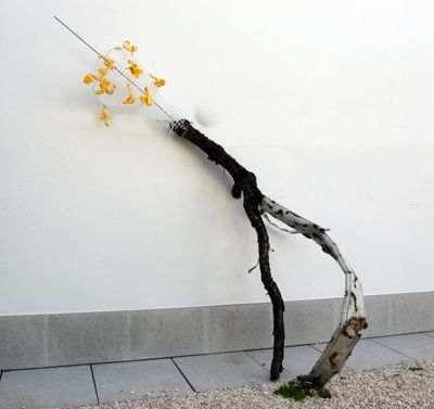 ça a bien fleuri     bois, métal, plastique    200/180/50       2024   