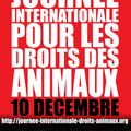 Journée Internationale pour les droits des Animaux, Rouen, le samedi 8 décembre