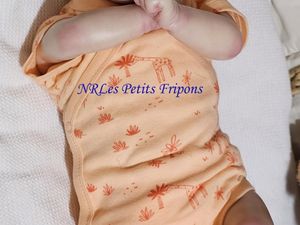 ASHLEY du Kit Realborn Ashley Awake de Bountiful Baby