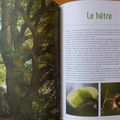 Les trésors de la nature