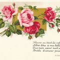 Roses au poème vintage