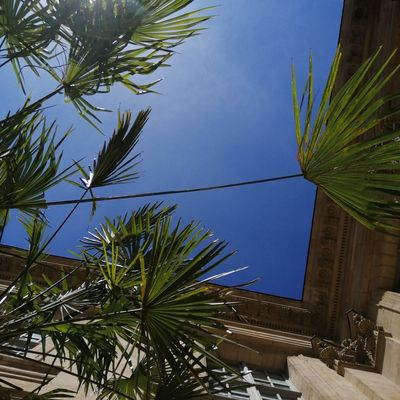 Y'A DU SOLEIL ET ...DU BOULOT !! DARLA DIRLA DADA... !!