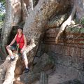 Siem-Reap, premieres visites des ruines