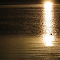 Vacances 2012 : Le Morbihan(acte VII)...Un merveilleux coucher de soleil