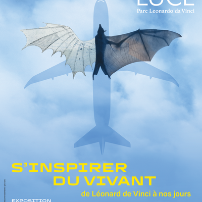Château du Clos Lucé - Expo du 07 juin au 10 septembre 2025 - Le biomimétisme >De Léonard De Vinci à nos jours