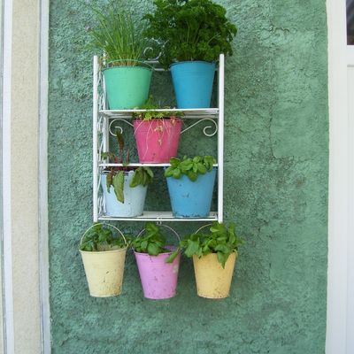 Ici tout est bio... sauf le cacao...