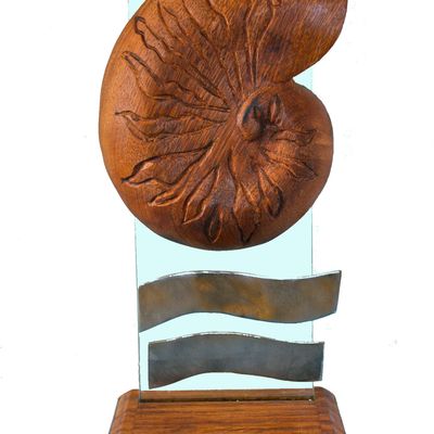 Dans la collection des trophées