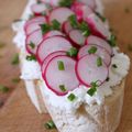 Tartines au chèvre frais et aux radis