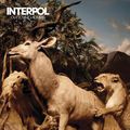 Interpol - rock 'n zoo