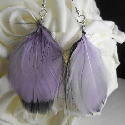 Des plumes, encore des plumes... Elles sont recto Verso  un coté violet et un coté noir 