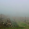 ENTRE SOLEIL ET BROUILLARD SUR LES HAUTEURS DU VILLAGE DE SERRIERES...