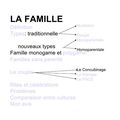 EVOLUTION DE LA FAMILLE EN FRANCE. Les types de familles.