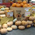 Halloween à New York City !!!! Des citrouilles dans "la Big Apple"!!!