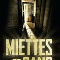 "Miettes de sang" de Claire Favan aux Éditions Pocket