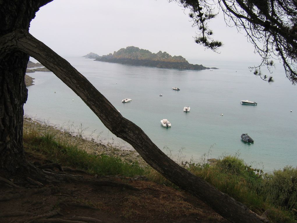 LE SENTIER DES DOUANIERS
