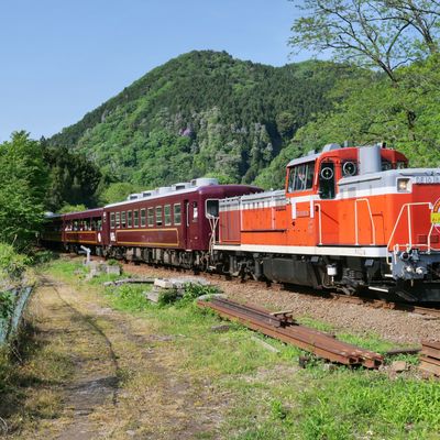 Erebos Golden Tour 2025 - 12 : Virée entre densha otaku (Watarase Keikoku Railway)