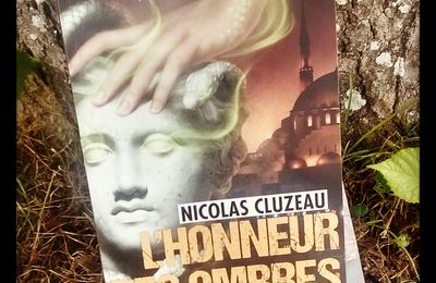 L'honneur des ombres, de Nicolas Cluzeau