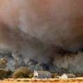 Incendies en Californie