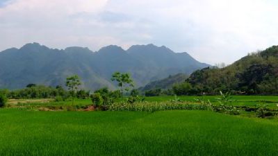 Mai Chau: une envie de paysages