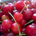Le temps des cerises ....