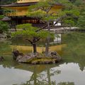 RETOUR AU PAVILLON D'OR, UN SOIR D'AUTOMNE À KYOTO