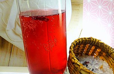 Kéfir à la sève de bouleau lactofermenté et aux fleurs d'hibiscus 