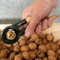 Conservation des noix