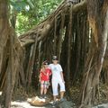 Le parc forestier à Nouméa