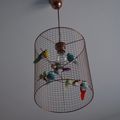 cage à oiseaux