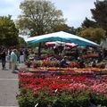 Marché aux fleurs