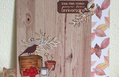 Cartes d'Anniversaires début Novembre 2019