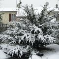 LA NEIGE A PARIS